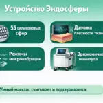 Устройство эндосферы