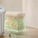 Аппарат компрессионной микровибрации и 3D-модель кожи: аналоги Эндосферы