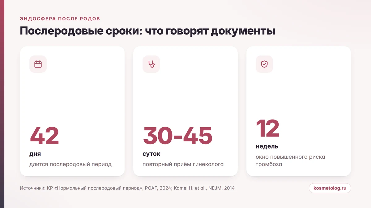 Сроки после родов: 42 дня послеродового периода, осмотр на 30-45 сутки, 12 недель риска тромбоза