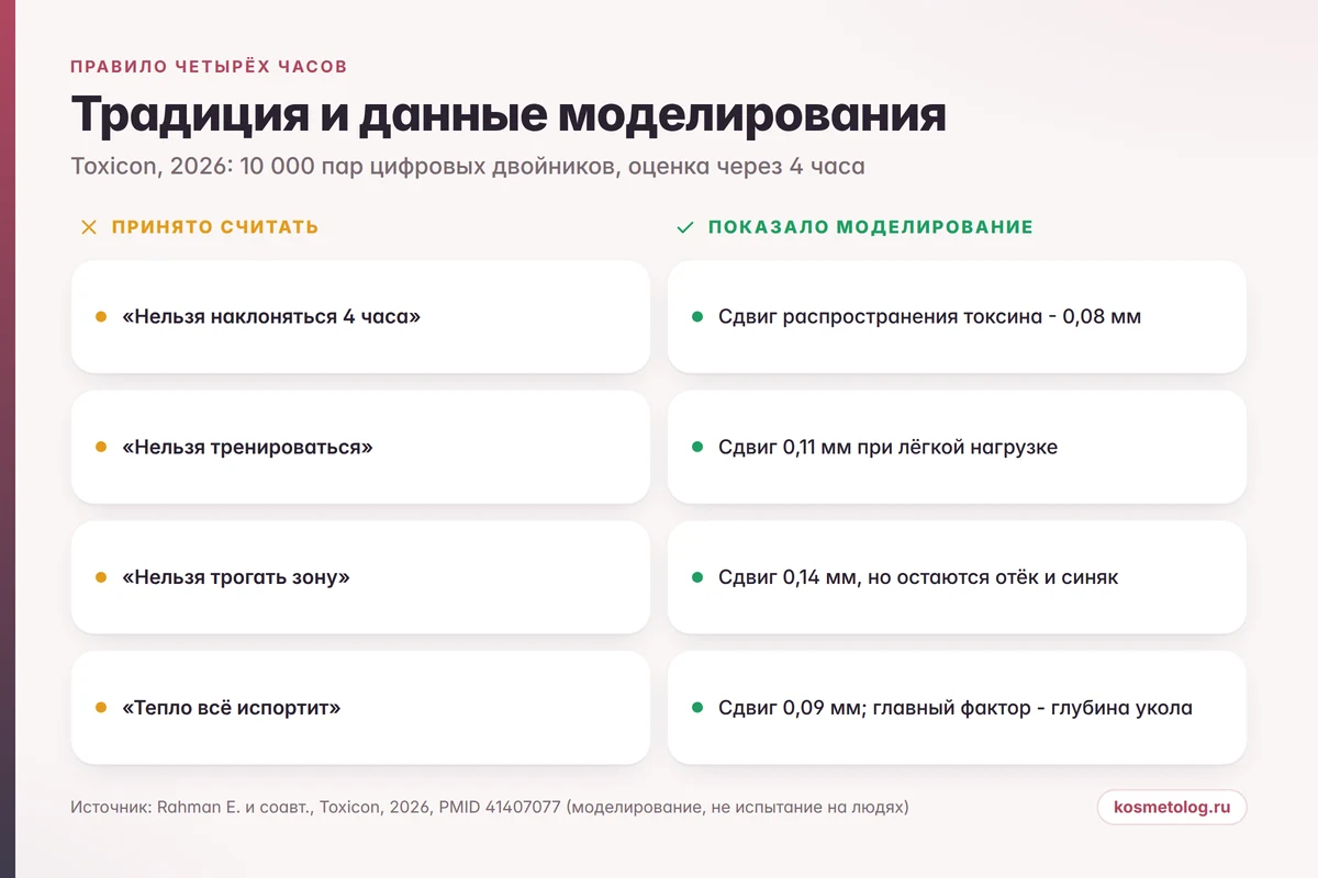 Сравнение: правило четырёх часов после ботулотоксина - традиция и данные моделирования